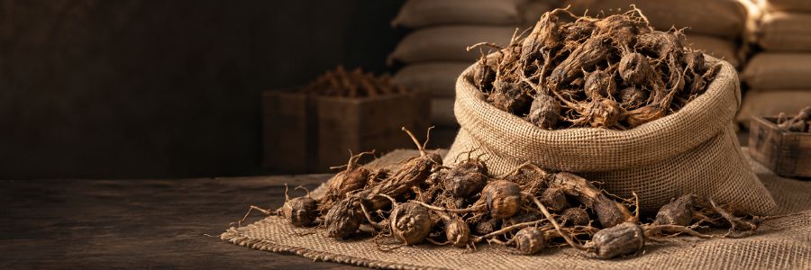 Nagarmotha Roots Manufacturer